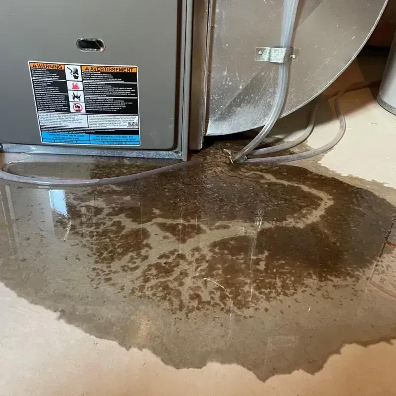 Appliance Leak Cleanup in Bunkerville, NV